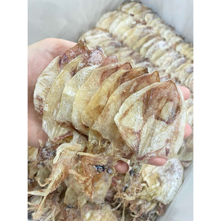 SÉT 10 CON MỰC Câu Dùng Thử Ngon Ngọt, Dày Mình