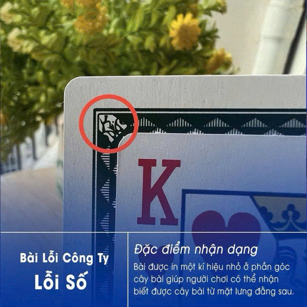 COMBO 10 BỘ BÀI LỖI - BÀI TÂY