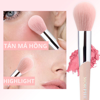 Cọ đánh highlight và má hồng MORPHE Blush Brush M112
