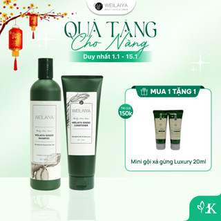   Chính hãng  Cặp dầu gội đầu và dầu xả tóc thảo dược Weilaiya gừng trắng ngừa gàu ngăn rụng và kích thích mọc tóc 