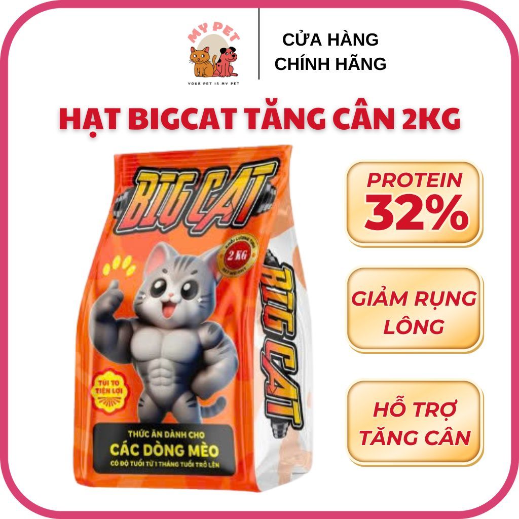 Hạt cho mèo BIGCAT 2KG - Đạm cao, Hỗ trợ tăng cân, Bổ sung protein túi nguyên seal gói 2kg