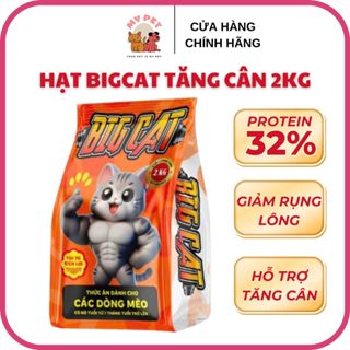 Hạt cho mèo BIGCAT 2KG - Đạm cao, Hỗ trợ tăng cân, Bổ sung protein túi nguyên seal gói 2kg