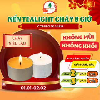  Nến tealight cháy lâu 8-12 giờ 10 viên đèn cầy trắng vàng đốt trái thơm xông tinh dầu thảo mộc 