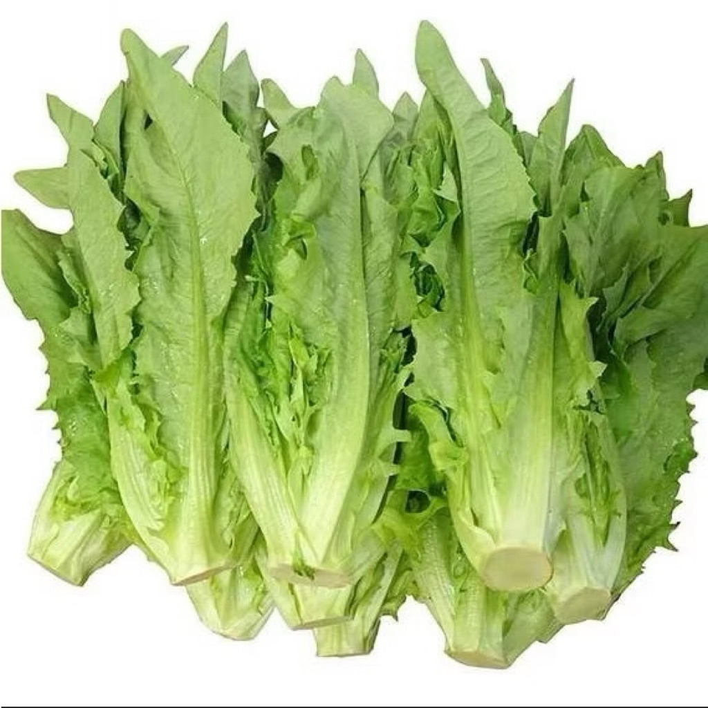 500gr Rau Diếp Thơm (Lactuca sativa)/ Rau Díp [Giao HCM]