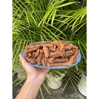 Cây mú từn khô - Tấn Phát - Túi lớn 1kg - Hỗ trợ cải thiện sinh lực phái mạnh