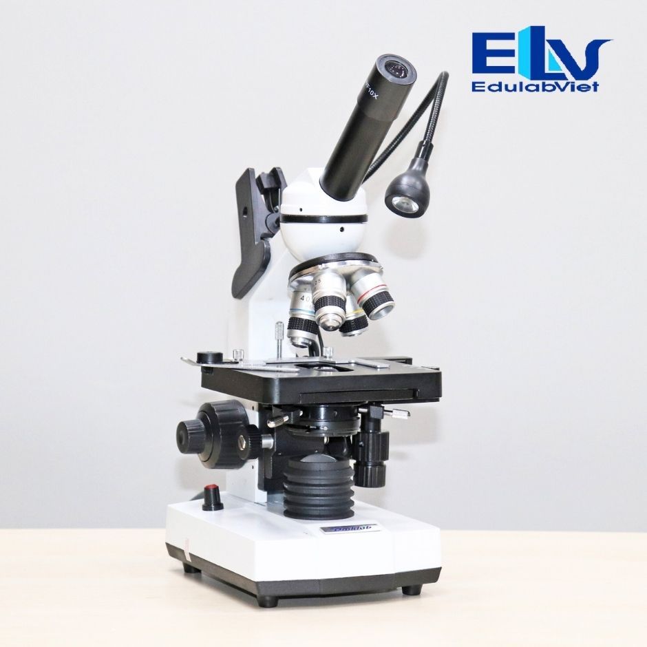 Kính hiển vi DMK483 – phóng đại 1000–1600X