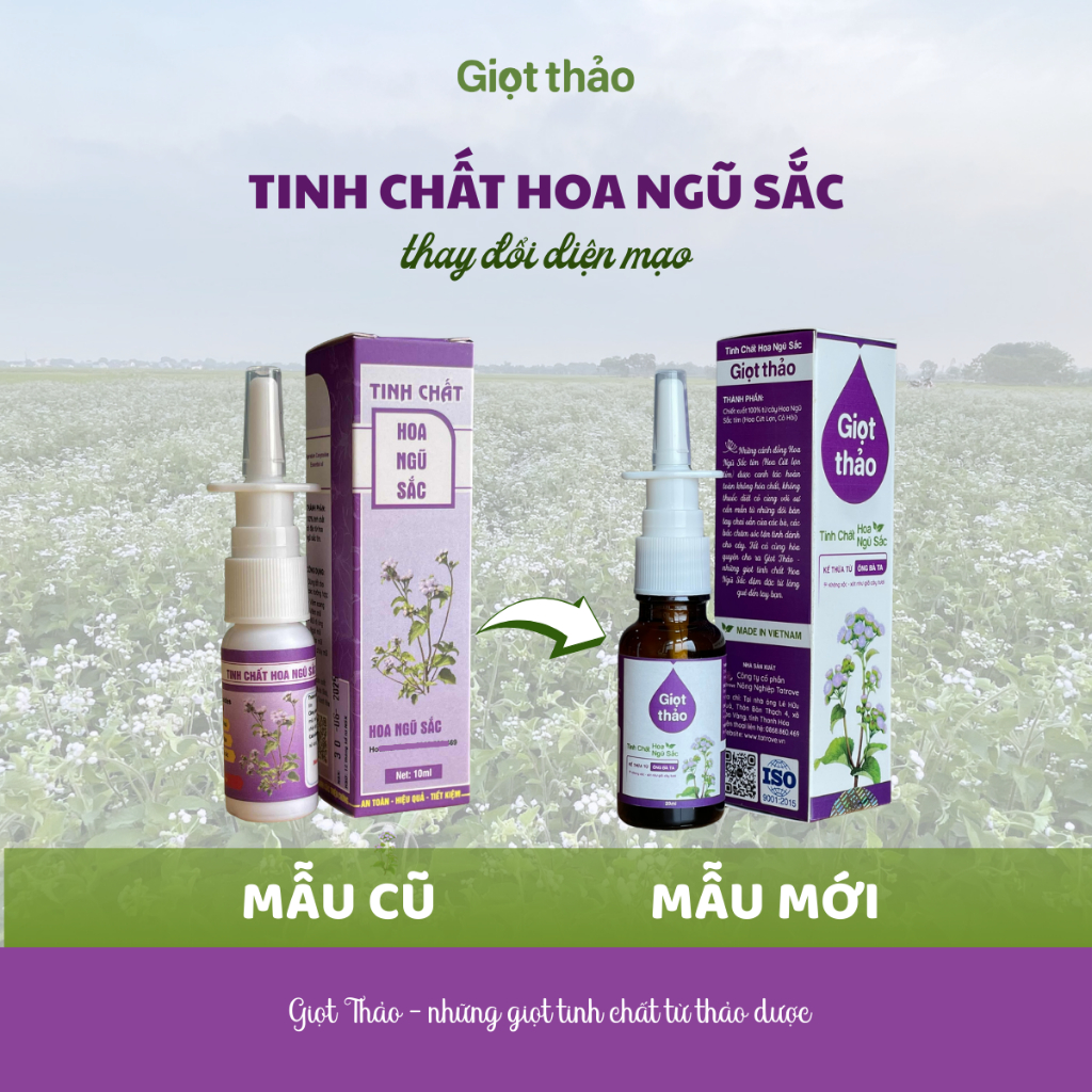 Tinh chất hoa ngũ sắc (hoa c.u.t lợn, cỏ hôi) Giọt Thảo (Lê Minh Anh) 20ml