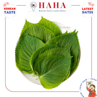Lá mè Hàn Quốc tươi ngon 야채나라 깻잎 50G | sieuthiHAHA