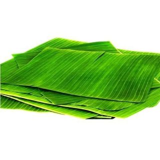 [HỎA TỐC] Lá Chuối Hột Tươi – Lá Chuối Gói Bánh Dày Dai – Gói Bánh Tét, Bánh Ít, Bánh Nếpu