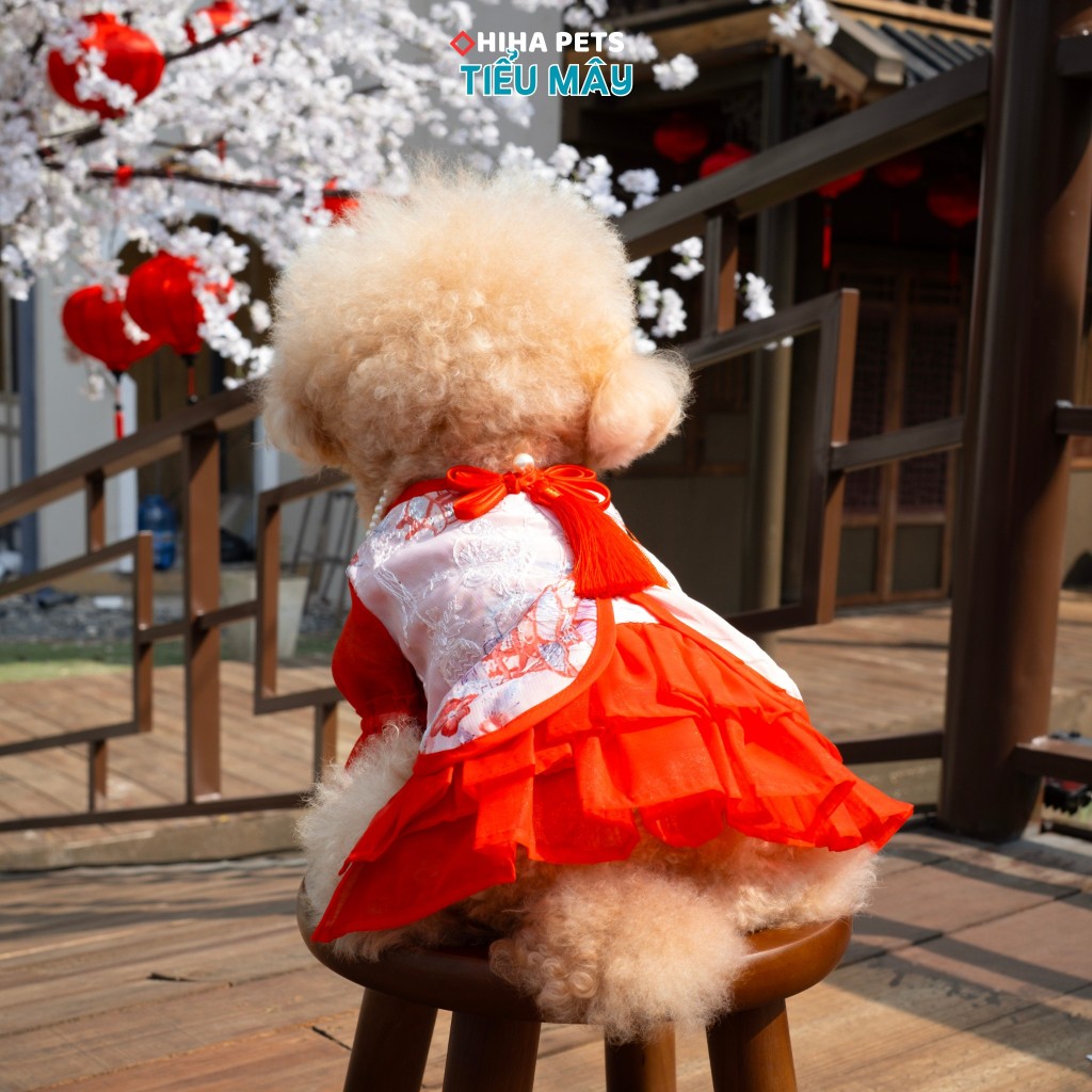 Đầm Tết Cho Thú Cưng, Quần Áo Tết Cho Cho Mèo Năm 2026, Bộ Sưu Tập Tiểu Mây Hihapets