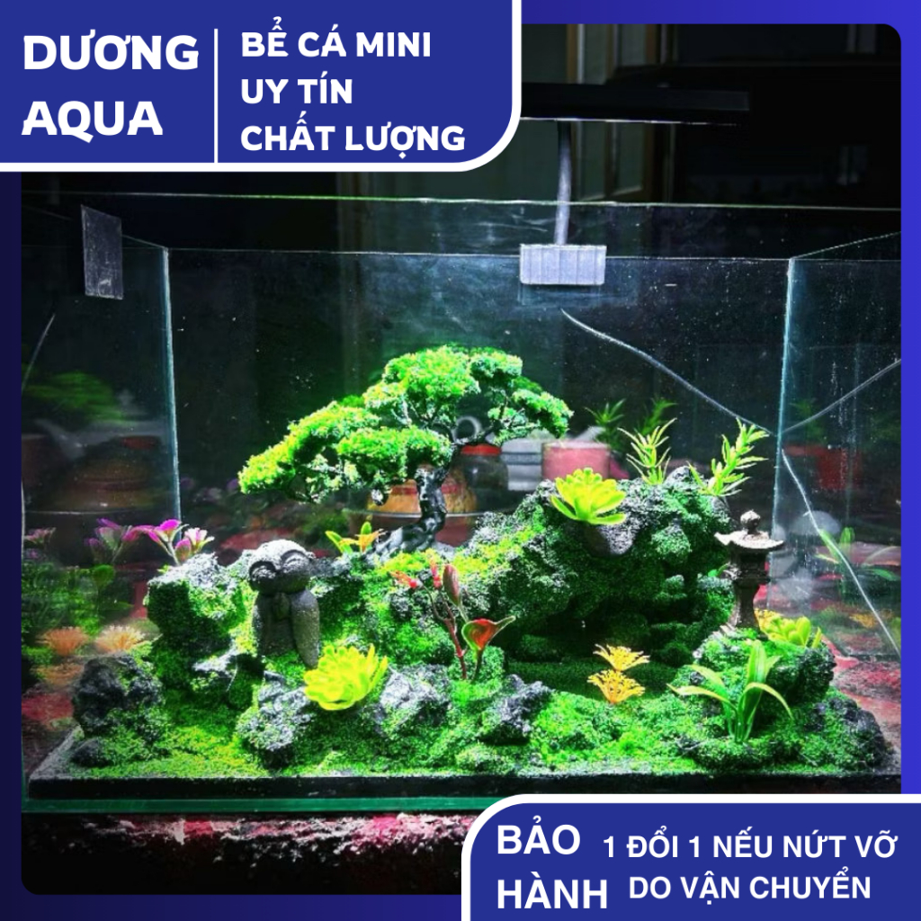 bể cá mini kèm layout kích thước 40x25x25