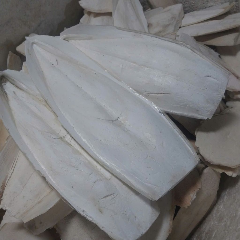 100 g nang mực ,mai mực vỡ dành cho sóc ,rùa,  chim cảnh ,yến phụng ,vẹt.....