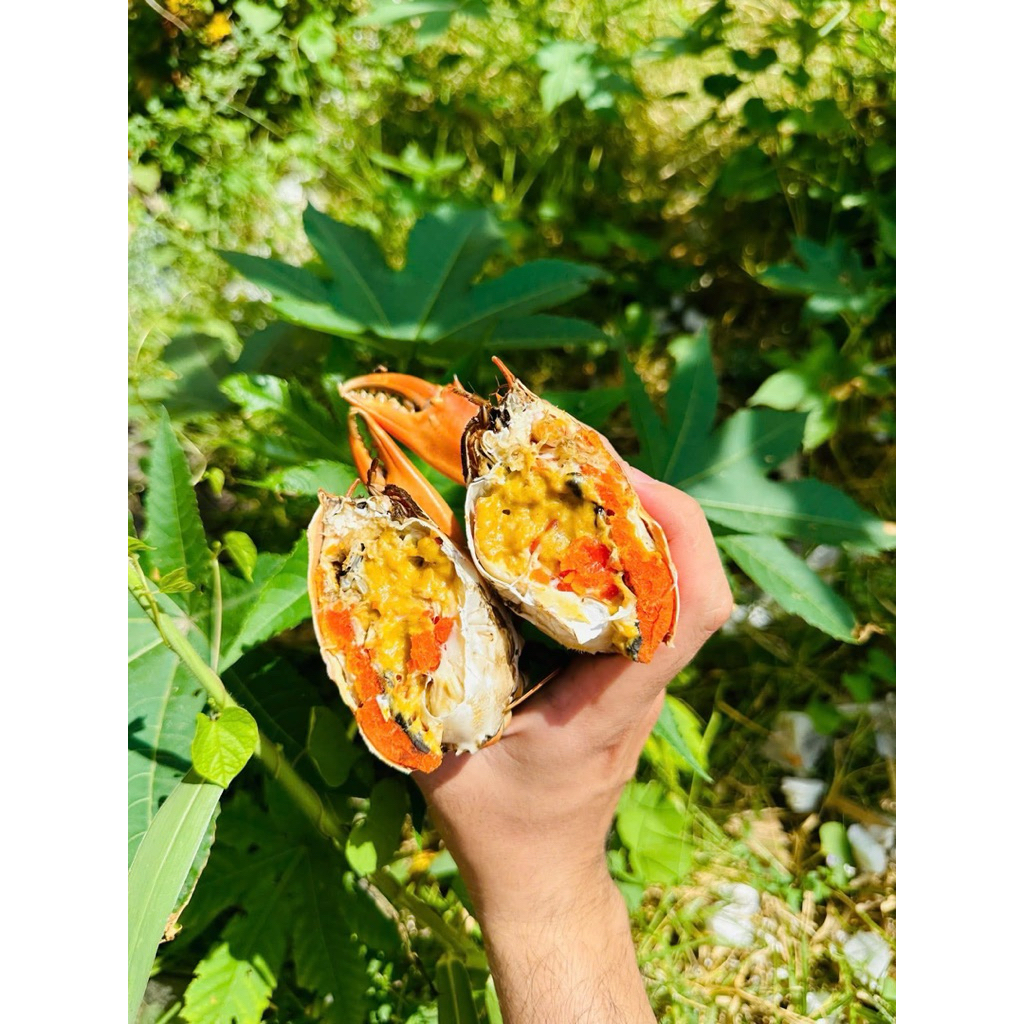 Cua gạch cua thịt Cà Mau chắc khoẻ bao ăn (đặt trước 16g giao trong ngày)