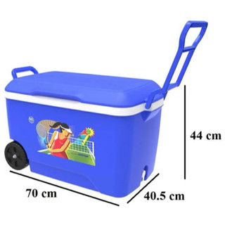 💥Thùng Đá 60 Lít DUY TÂN Nhựa PP, Công Nghệ PU Foam, Giữ Lạnh Đến 24 giờ, An Toàn Vệ Sinh Thực Phẩm💥