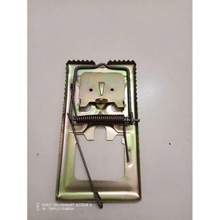 2 Cái Bẫy Sập Chuột Size Lớn 20x10 Hàng Thép Dày Chắc Chắn