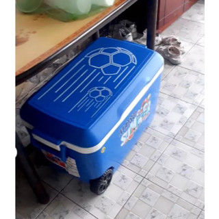 💥Thùng Đá 60 Lít DUY TÂN Nhựa PP, Công Nghệ PU Foam, Giữ Lạnh Đến 24 giờ, An Toàn Vệ Sinh Thực Phẩm💥