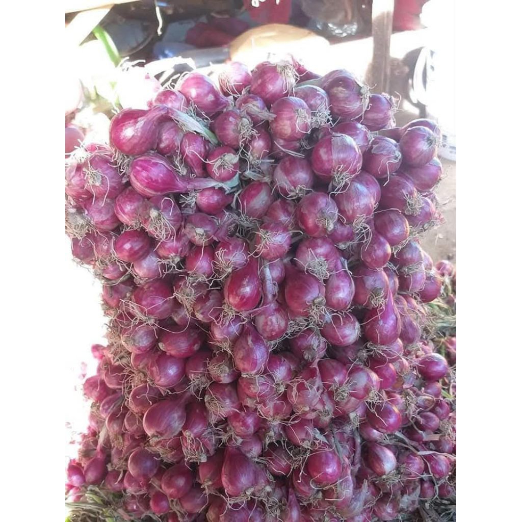 [1kg ] CỦ HÀNH TÍM SÓC TRĂNG, THƠM NGON