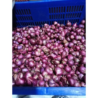 [1kg ] CỦ HÀNH TÍM SÓC TRĂNG, THƠM NGON