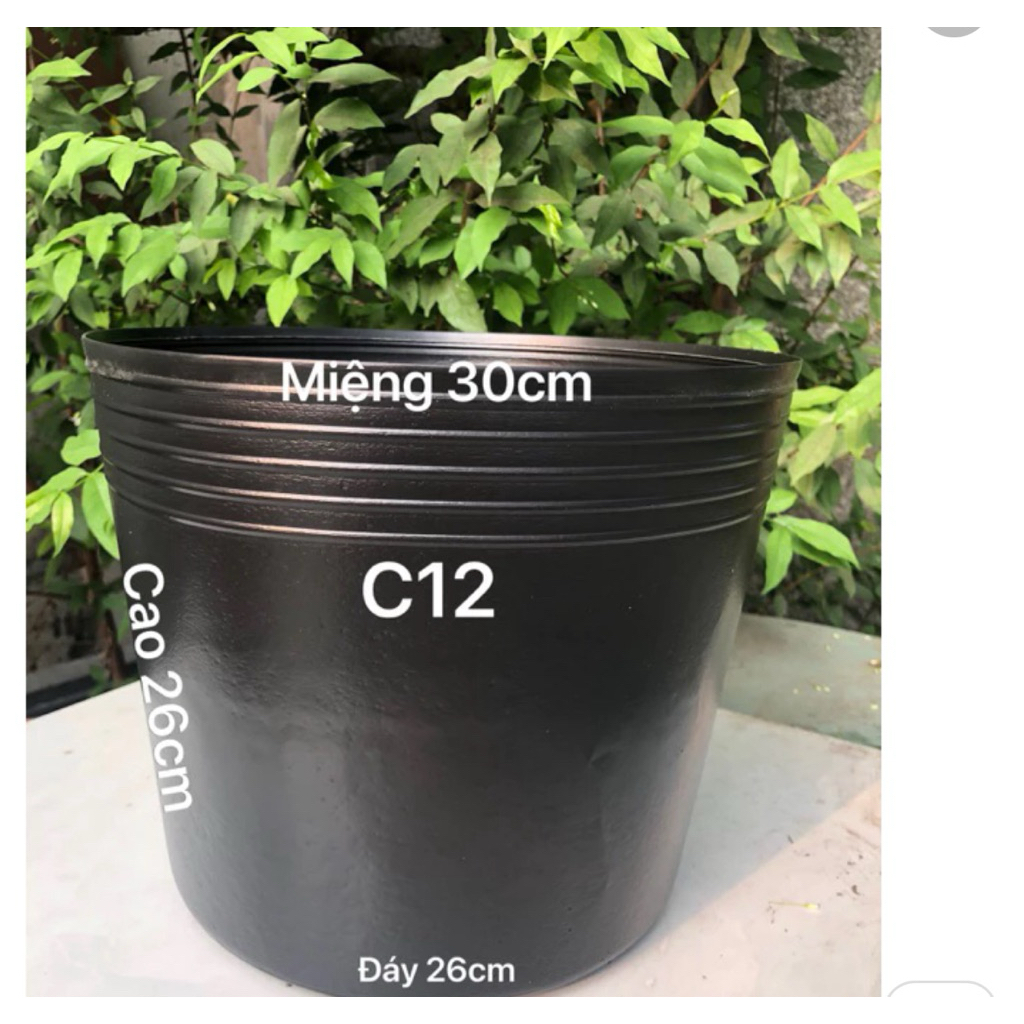 10 cái chậu đen trồng rau và trồng cây c12 ,c13,c16