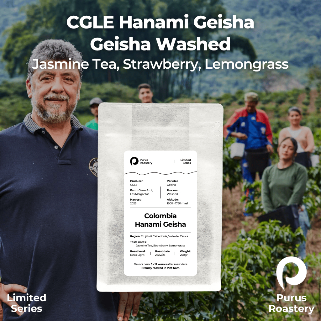 [LIMITED] Cà phê Colombia CGLE Hanami Geisha | Giống Geisha sơ chế Washed | Extra Light Roast