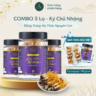  Combo 3 Lọ Đông Trùng Hạ Thảo Ancordy SilkNest Kí Chủ Nhộng Tằm Nấm Đông Trùng Sấy Khô 