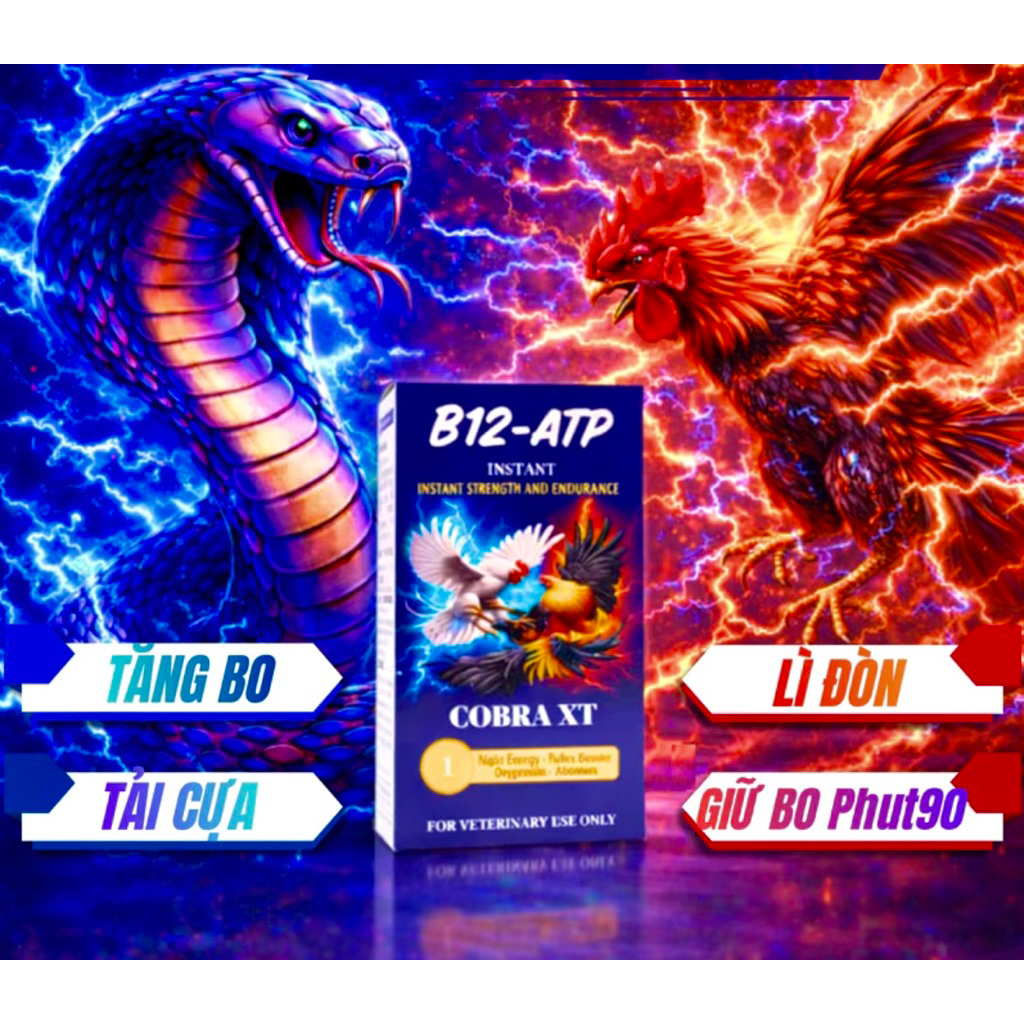 COBRA XT - Chít tím cobra cho gà tăng bo, tải cựa, gồng gánh nước khuya
