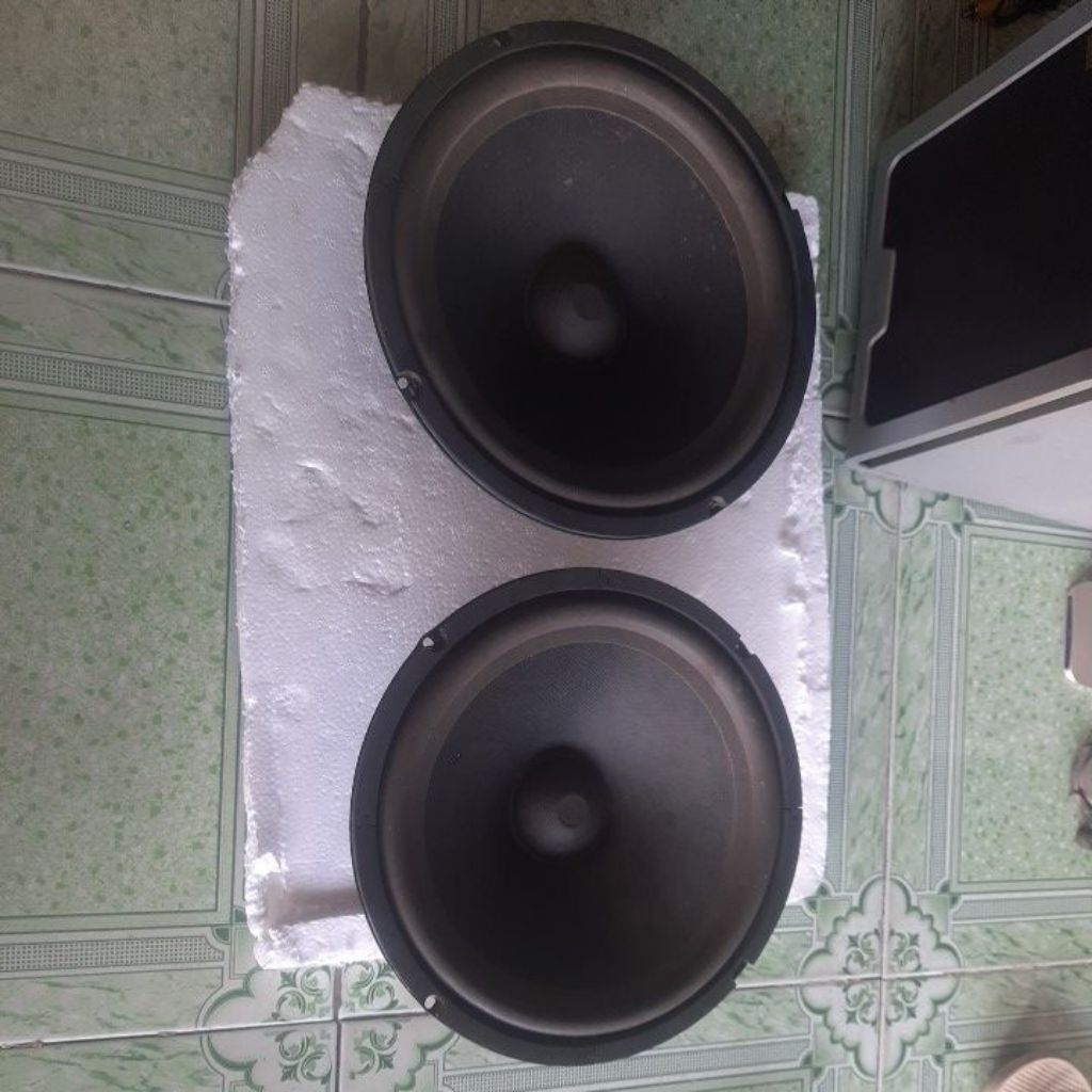 cặp củ loa 25cm tháo thùng thanh lý hát lớn hay