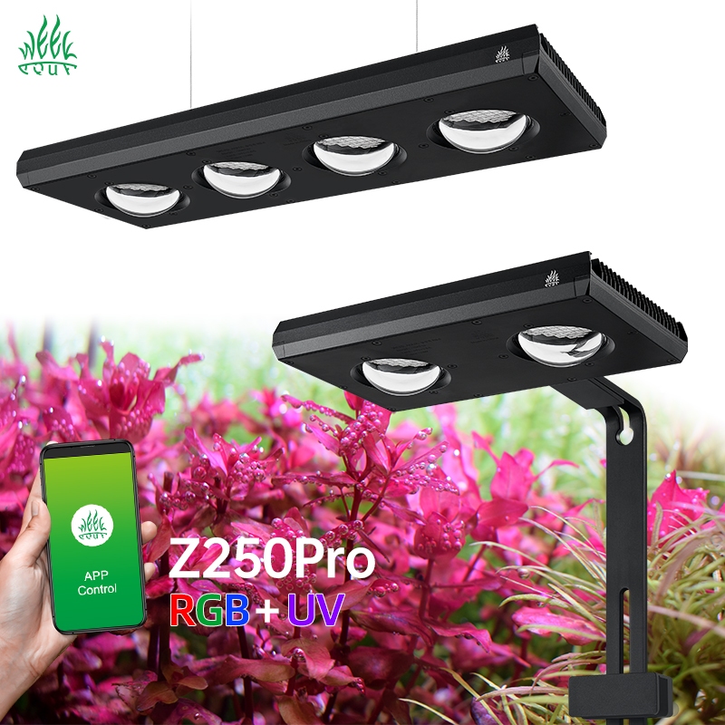 Đèn Week Z250 Pro - Đèn Z250 Pro Bản Kẹp - Đèn Thủy Sinh Week Z250 Pro