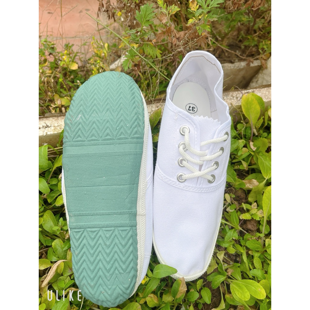 Giày múa,Bata buộc dây trắng đế xanh mềm dẻo bền,giày nam-nữ bata ,học sinh