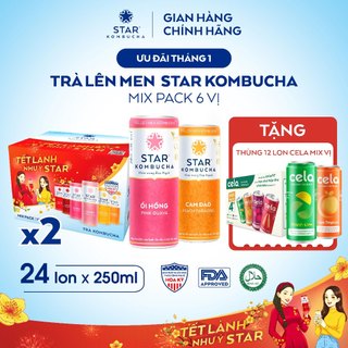  Combo 2 thùng 12 lon trà lên men STAR KOMBUCHA hữu cơ mix vị Tết  250ml lon  - Trà kombucha hữu cơ hỗ trợ tiêu hóa 