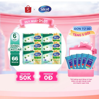   HANNAH x SILCOT  Bộ 6 hộp Bông trang điểm  bông tẩy trang  cao cấp Silcot Premium 66 miếng hộp 