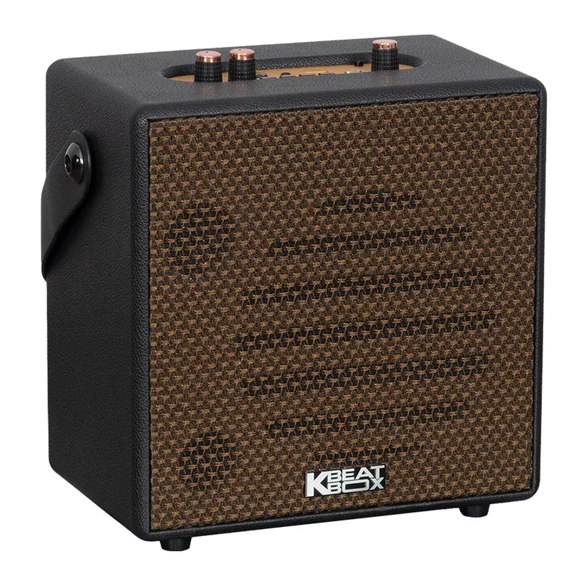 Loa karaoke xách tay SONCAMEDIA CarryOn | BigBuy360 - bigbuy360.vn