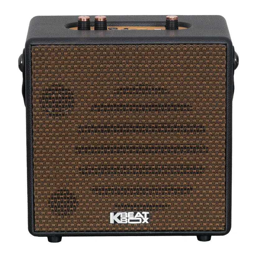 Loa karaoke xách tay SONCAMEDIA CarryOn | BigBuy360 - bigbuy360.vn