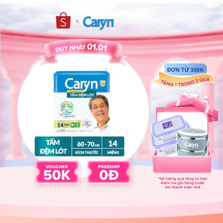  Tấm đệm lót Caryn siêu thấm giúp chống trào kháng khuẩn kiểm soát mùi hiệu quả  tặng kèm miếng ngẫu nhiên  