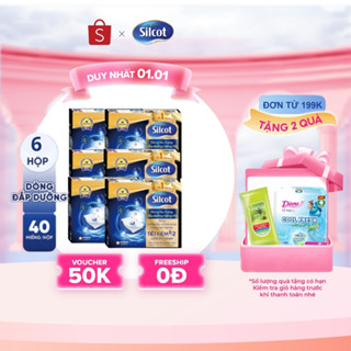  Bộ 6 hộp Bông tẩy trang Silcot đắp dưỡng miếng đôi 40 miếng hộp 