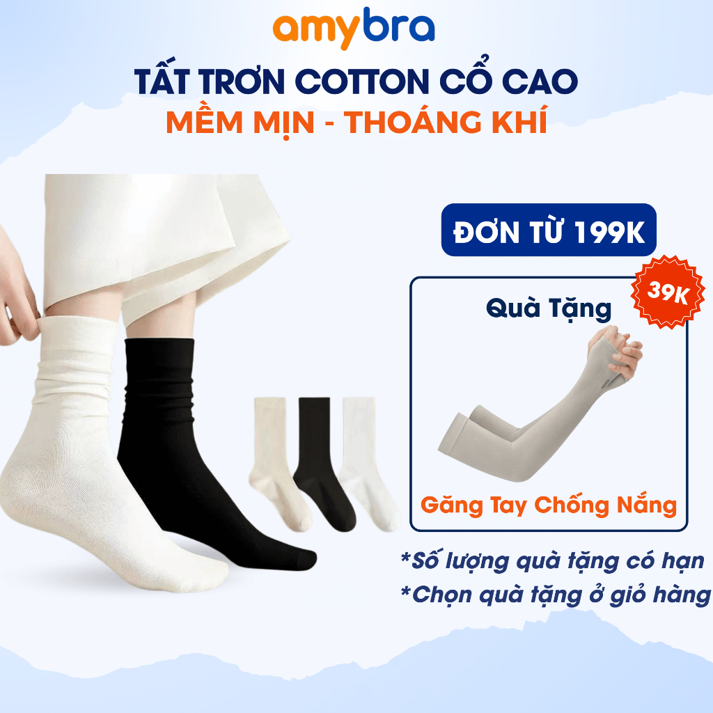 Tất Cổ Cao Nữ Cotton Gân Tăm Mềm Mại, Vớ Nữ Co Giãn Ôm Chân Thoải Mái AMYBRA T786