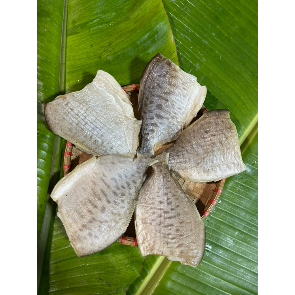 500gr Khô cá chim nâu lạt | Vị vừa ăn [An An Food]