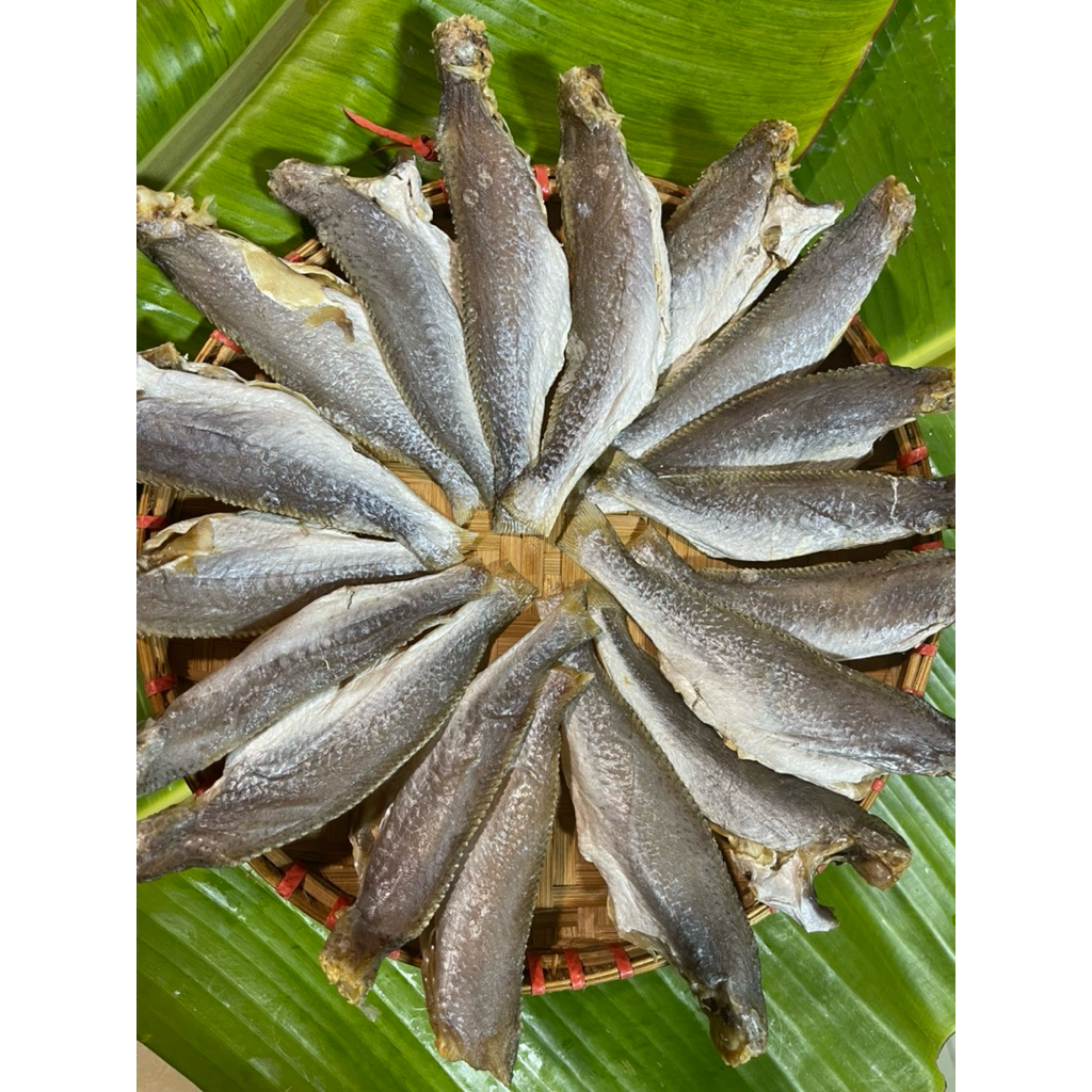 Khô cá đù lạt 2 nắng [ Đặc sản miền tây ] vị vừa ăn | An An Food