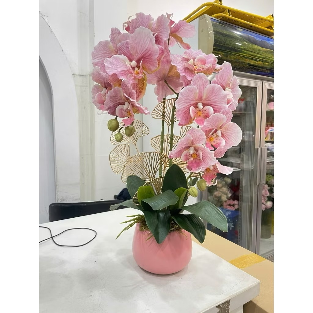 Lan Hồ Điệp cắm sẵn cùng chậu sứ Atlantic, Chậu lan hồ điệp để bàn làm quà tặng, Bình Hoa Giả Trang 