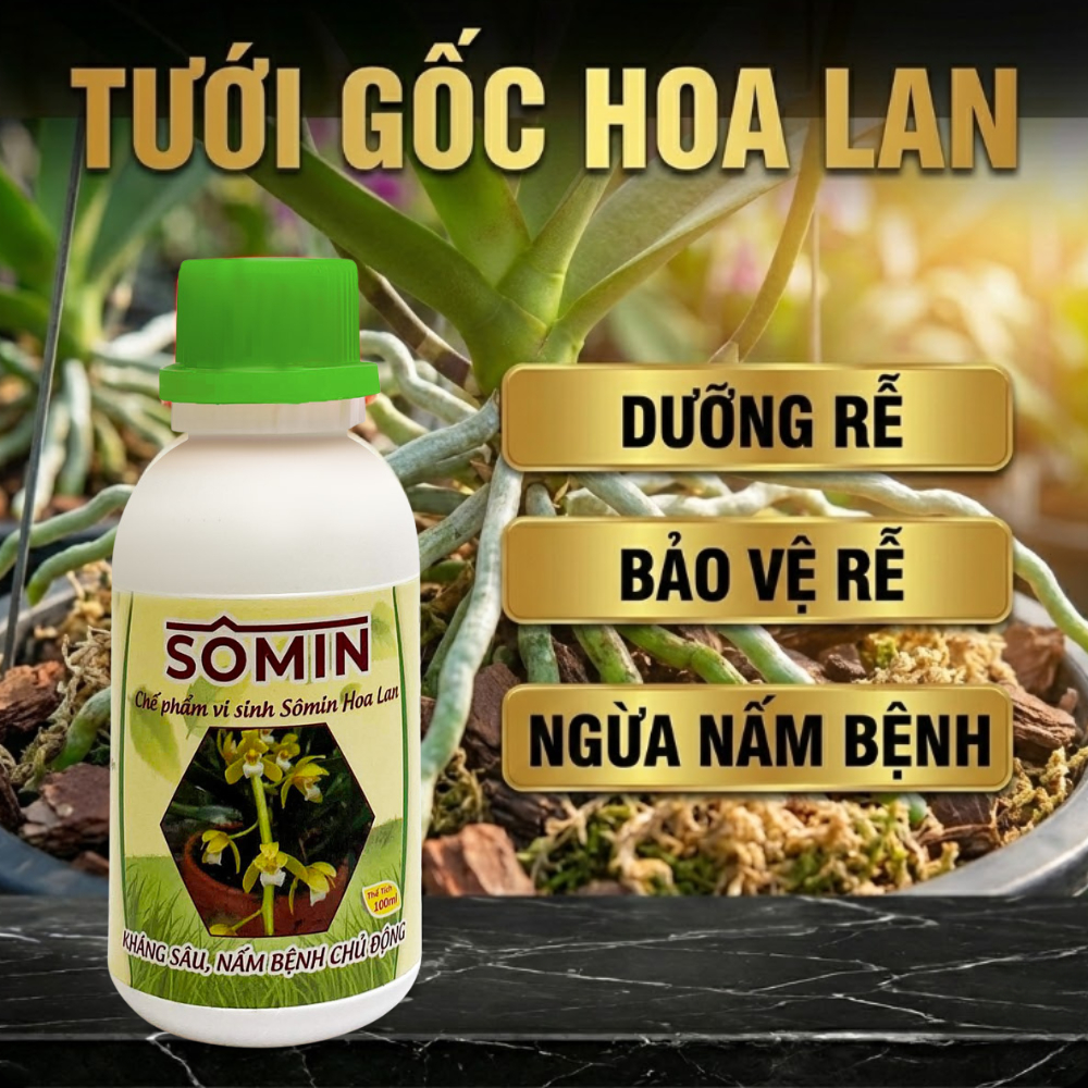 Chế phẩm vi sinh Sômin hoa lan 100ml