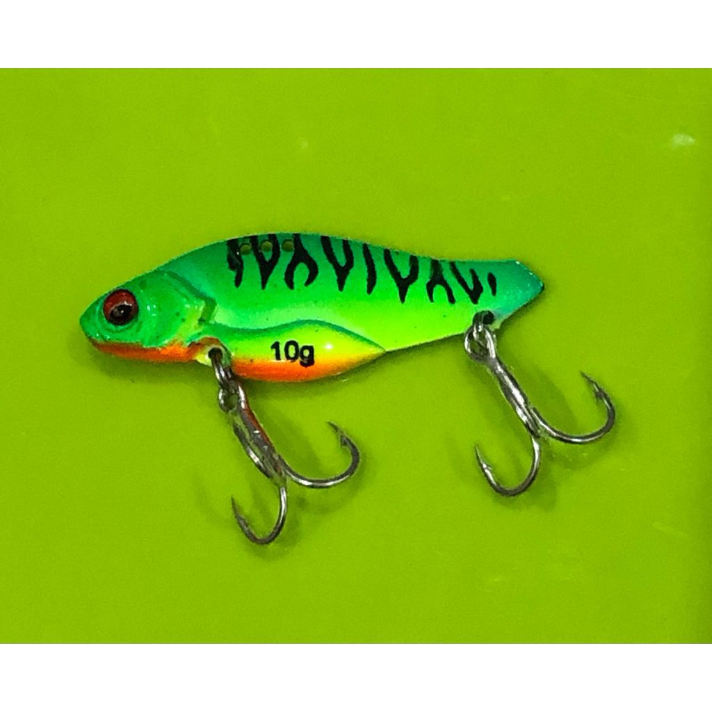 Cá Sắt Orochi xanh tiger ( Lưỡi BKK )