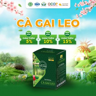 Combo 2 Hộp Trà Cà Gai Leo Túi Lọc -  Hộp 30 túi Siêu Thị Thiên Nhiên