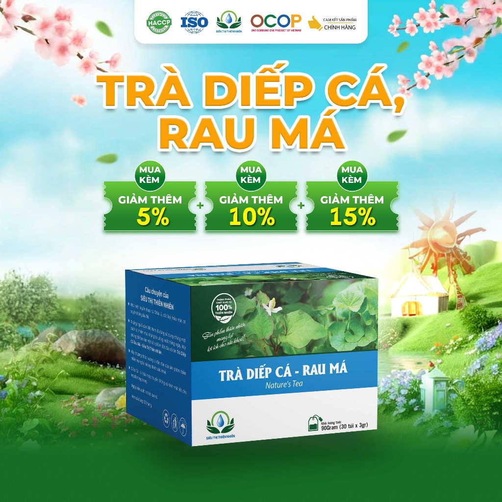 Hộp 30 Túi Lọc Trà Diếp Cá Rau Má  Siêu Thị Thiên Nhiên