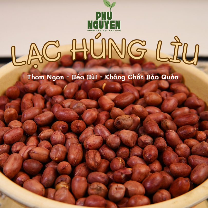 [ PHÙ NGUYÊN ] Lạc Rang Húng Lìu ( LẠC VIỆT NAM ) LOẠI 1 HẠT TO hút chân không, Đậu Phộng Húng Lìu P