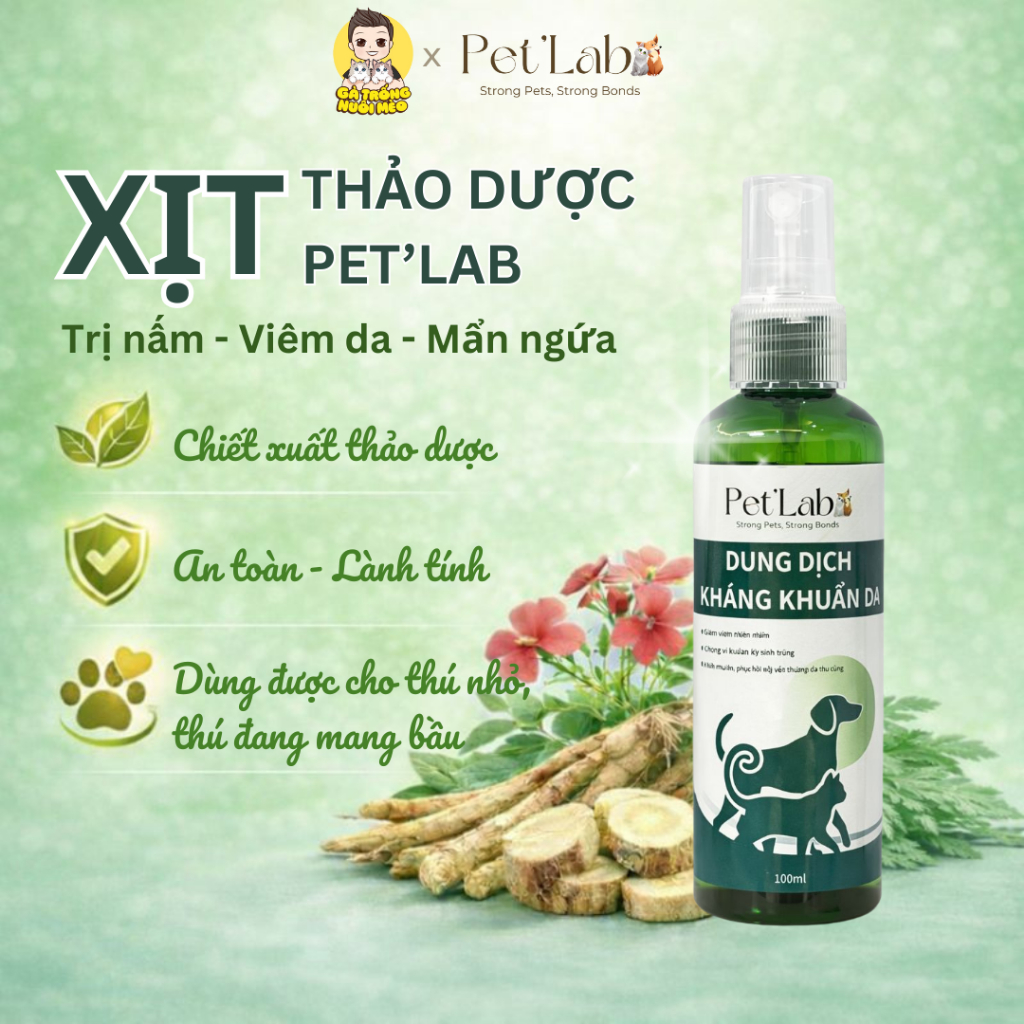 Xịt Nấm Thảo Dược Xịt Trị Nấm Da Cho Chó Mèo Giảm Viêm Da Mẩn Ngứa Dịu Nhẹ Kháng Khuẩn Kháng Nấm Gà Trống Nuôi Mèo Store