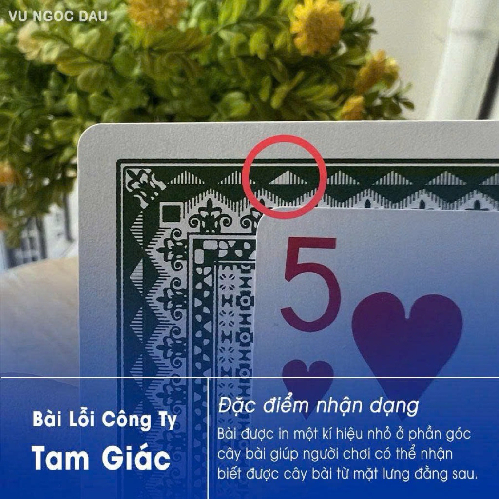 COMBO 10 BỘ  BÀI LỖI - BÀI DẤU TAM GIÁC - BÀI TÂY( HÀNG LOẠI 1 )