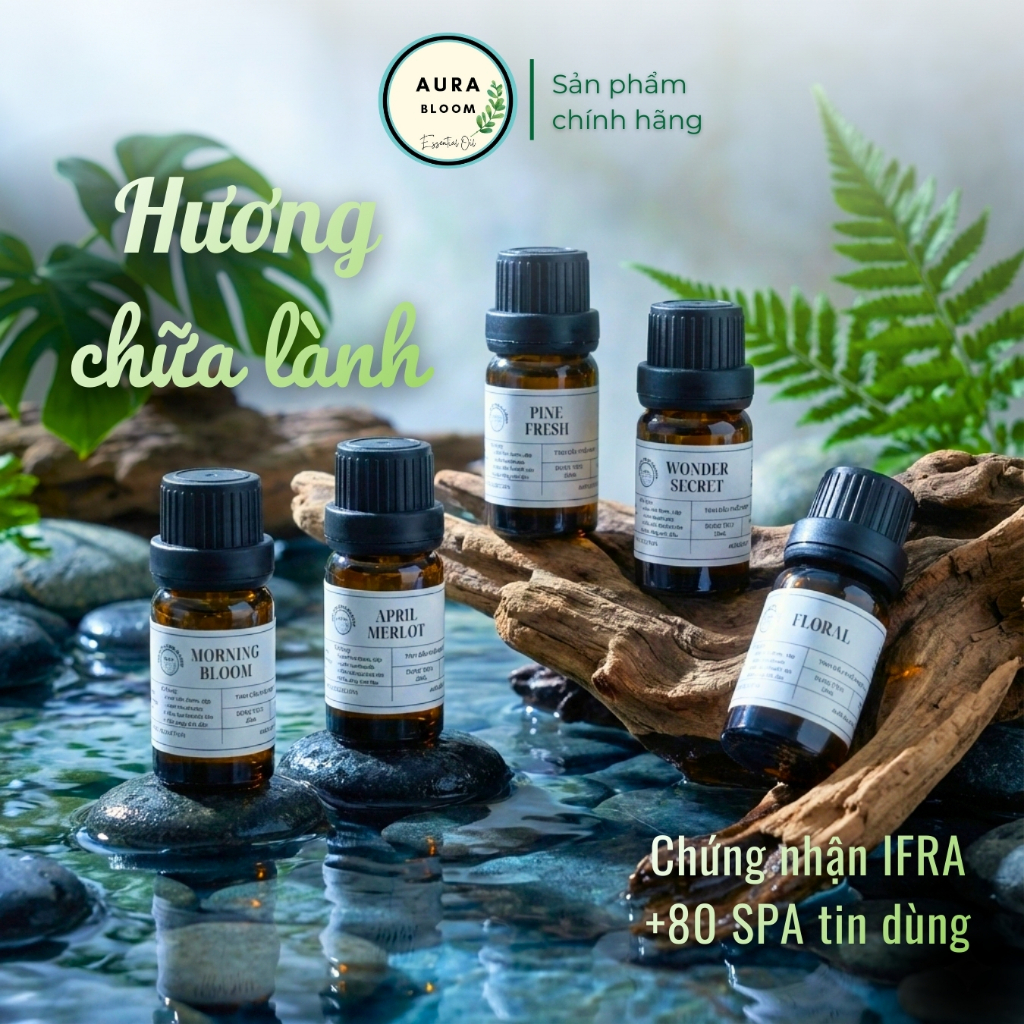 Tinh Dầu Thơm Phòng Phối Hương Nước Hoa - Xông Phòng - Làm Nến Thơm Aura Bloom Nhập Khẩu