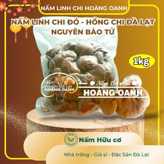 Nấm Linh Chi Đỏ còn nguyên bào tử 1kg - Hồng Chi Đà Lạt