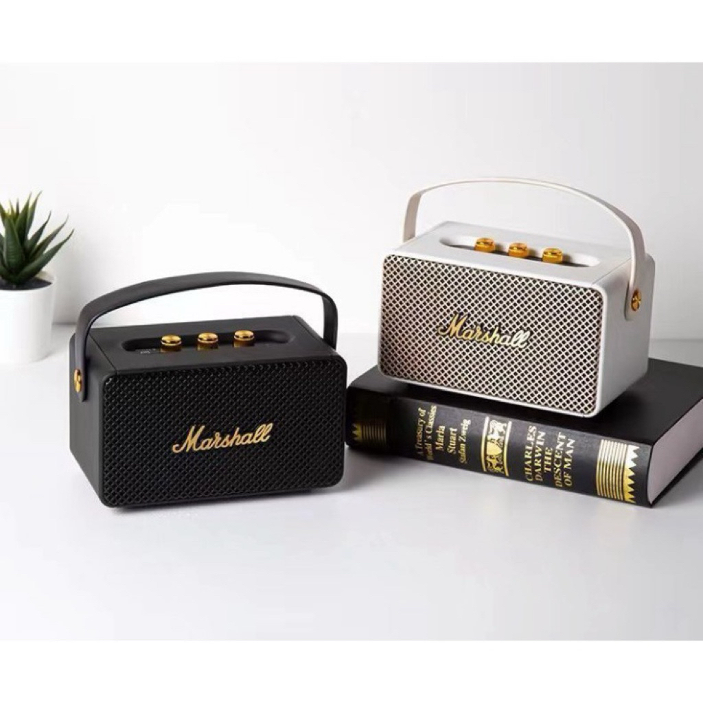 Loa Bluetooth Marshall M10