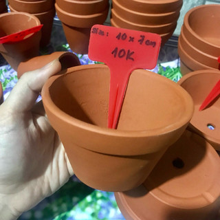 Chậu đất nung dáng thao 10x7cm - miệng 10cm